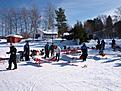 Click image for larger version

Name:	Vika_20110312_003.jpg
Views:	164
Size:	148.6 KB
ID:	605470