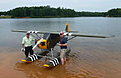 Click image for larger version

Name:	giant%203.png
Views:	67
Size:	99.3 KB
ID:	609253