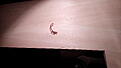 Click image for larger version

Name:	IMG_20141026_174704.jpg
Views:	185
Size:	142.1 KB
ID:	609554