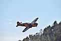 Click image for larger version

Name:	DSC_1876 (1024x683).jpg
Views:	128
Size:	203.2 KB
ID:	611738