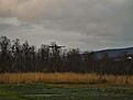 Click image for larger version

Name:	DSCN0592.jpg
Views:	212
Size:	75.0 KB
ID:	615259