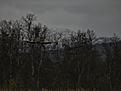 Click image for larger version

Name:	DSCN0590.jpg
Views:	205
Size:	83.1 KB
ID:	615260