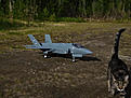 Click image for larger version

Name:	DSCN1772.JPG
Views:	184
Size:	202.0 KB
ID:	617529
