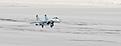 Click image for larger version

Name:	Just before touchdown 1.jpg
Views:	225
Size:	36.8 KB
ID:	619432