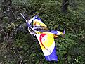 Click image for larger version

Name:	6.jpg
Views:	210
Size:	146.1 KB
ID:	620816