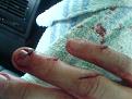 Click image for larger version

Name:	DSC00687.JPG
Views:	335
Size:	24.3 KB
ID:	623982