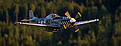 Click image for larger version

Name:	IMG_0706.jpg
Views:	174
Size:	126.1 KB
ID:	624104