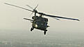 Click image for larger version

Name:	black hawk.jpg
Views:	85
Size:	32.3 KB
ID:	624261