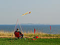 Click image for larger version

Name:	DSC_2444_Elita_B-base.jpg
Views:	83
Size:	226.4 KB
ID:	625148