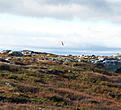 Click image for larger version

Name:	IMG_1851-2.jpg
Views:	158
Size:	189.3 KB
ID:	625849