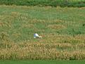 Click image for larger version

Name:	IMG_1290.jpg
Views:	82
Size:	152.3 KB
ID:	627151