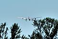 Click image for larger version

Name:	DSC_2022_2.jpg
Views:	104
Size:	93.7 KB
ID:	629439