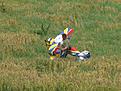 Click image for larger version

Name:	ApenDag_20100814_066.jpg
Views:	82
Size:	149.1 KB
ID:	629493