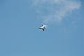 Click image for larger version

Name:	Bod&amp;amp;#248; Airshow 268.JPG
Views:	119
Size:	158.1 KB
ID:	631616