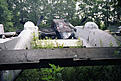 Click image for larger version

Name:	junk2.jpg
Views:	118
Size:	133.7 KB
ID:	632647