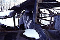 Click image for larger version

Name:	junk3.jpg
Views:	139
Size:	94.8 KB
ID:	632648