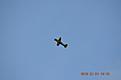Click image for larger version

Name:	DSC_1543.jpg
Views:	188
Size:	16.7 KB
ID:	634650