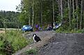 Click image for larger version

Name:	DSC_0091.jpg
Views:	462
Size:	137.5 KB
ID:	635228