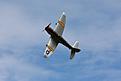 Click image for larger version

Name:	IMG_6981 (1024x684).jpg
Views:	582
Size:	289.6 KB
ID:	677399